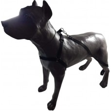 GUIA E PEITORAL AJUST AMERICANO POL N3