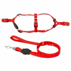 PEITORAL E GUIA CRUSH SEDA M 20MM C/C