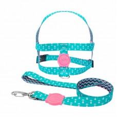 PEITORAL E GUIA POP SEDA G 25MM C/C