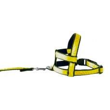 PEITORAL GUIA NYLON LUXO M N°7 Ø67 96CM