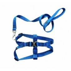 PEITORAL E GUIA AMERICANO POP G C39 96CM