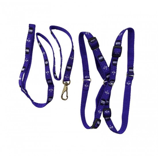 PEITORAL E GUIA AMERICANO X N°3 36CM 96C