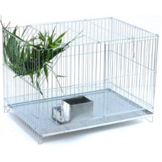 G. COELHO INDIVIDUAL 27A 