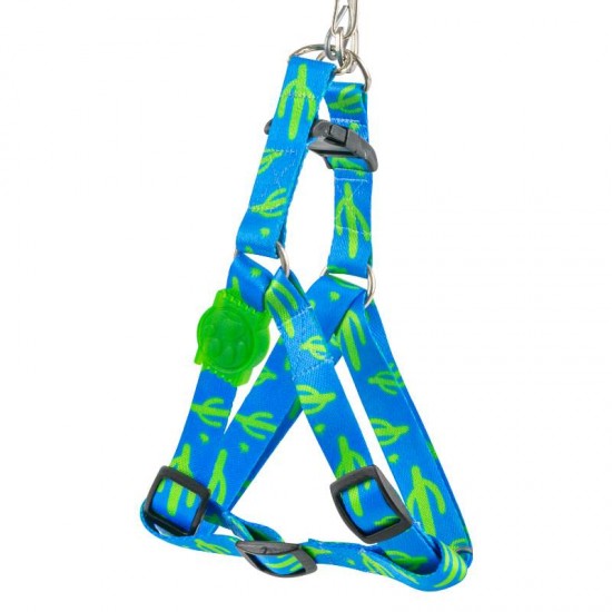 GUIA E PEITORAL CACTUS M 120CM/65CM