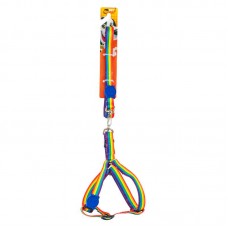 PEITORAL E GUIA ARCO-IRIS P 120CM/45CM