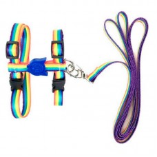 PEITORAL E GUIA CAT ARCO-IRIS 130CM/6CM