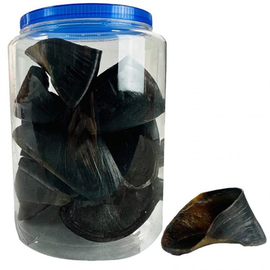 POTE CASCO COM 12 UN 