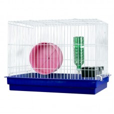 G. CHINCHILA E PORQ INDIA COMPLETA 