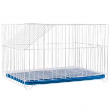 G. COELHO C/ BANDEJA AZUL