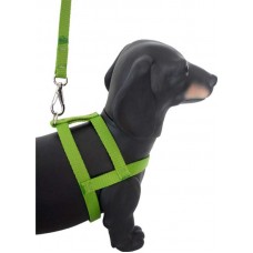 PEITORAL COM GUIA NYLON N°1 *