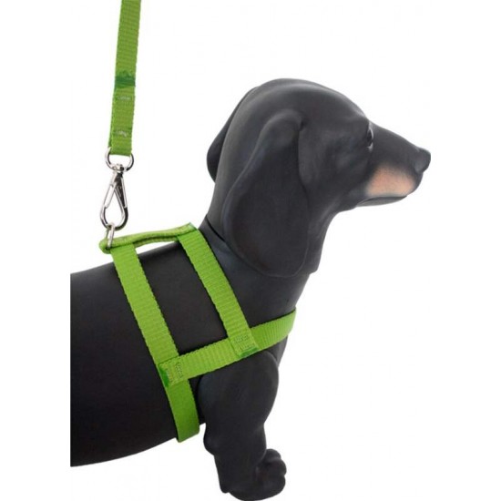 PEITORAL COM GUIA NYLON N°3