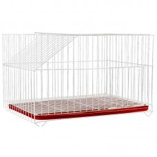 G. COELHO C/ BANDEJA VERMELHO