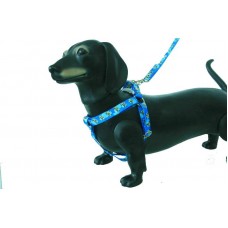 PEITORAL E GUIA SEDA AJUST. N 4 C/C