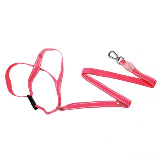 GUIA CORRIDA MAOS LIVRES NEON - PRO