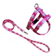 PEITORAL E GUIA SEDA ESSENCIAL N°2 Ø40