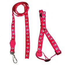 GUIA E PEITORAL CAVEIRA PP 120CM/35CM