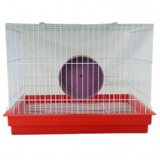 G. COELHO E PORQUINHO INDIA VERMELHA