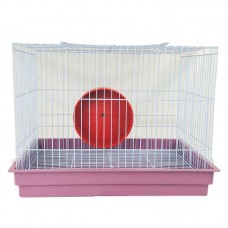 G. COELHO E PORQUINHO INDIA ROSA