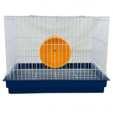 G. COELHO E PORQUINHO INDIA