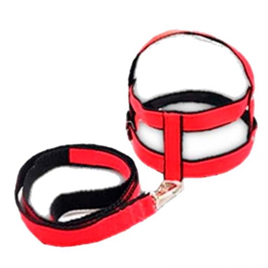 PEITORAL GUIA LUX FEIXE M N°6 Ø65 96CM