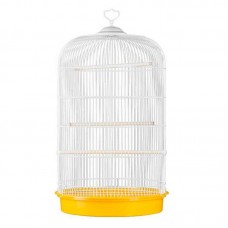 G. VIVEIRO REDONDO TAILANDES 