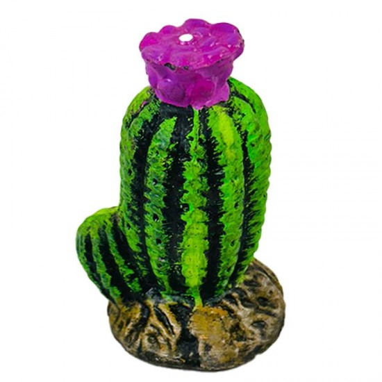 CACTO C/FLOR DECORADO
