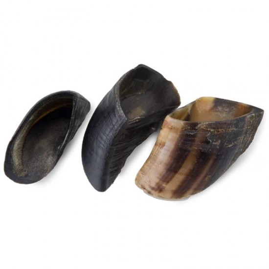 CASCO BOVINO NATURAL C/3UN