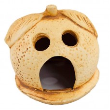 LARANJINHA ENVELHECIDA