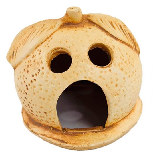 LARANJINHA ENVELHECIDA