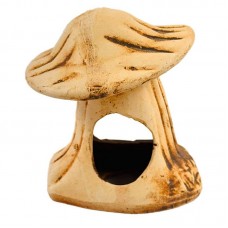 CASA COGUMELO ENVELHECIDA