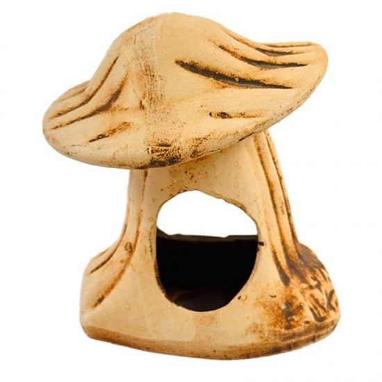 CASA COGUMELO ENVELHECIDA