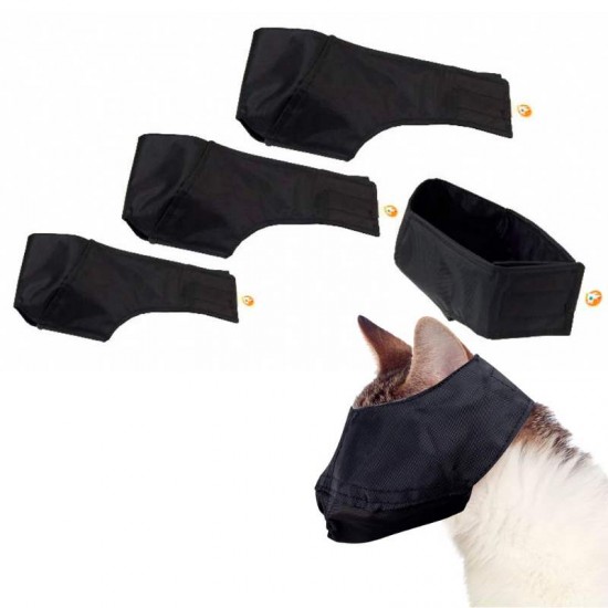 JOGO FOCINHEIRA GATO Nº 1/2/3