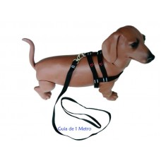 PEITORAL E GUIA C/PATINHA  N°5 