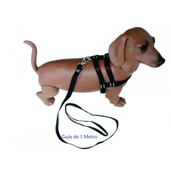 PEITORAL E GUIA C/PATINHA N°0 